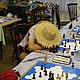 Polgar Superstar Chess